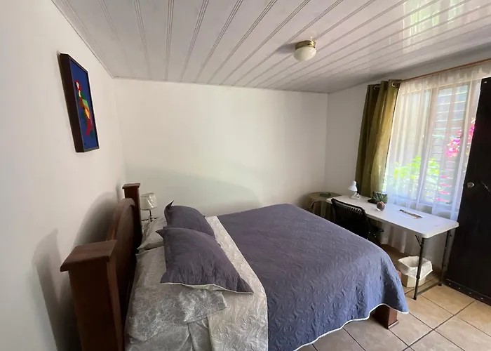 La Casa de Mamá Coyita
